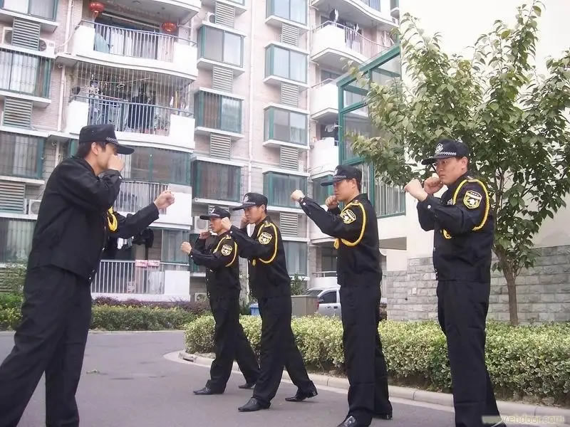 ��ȫ������ѯ����